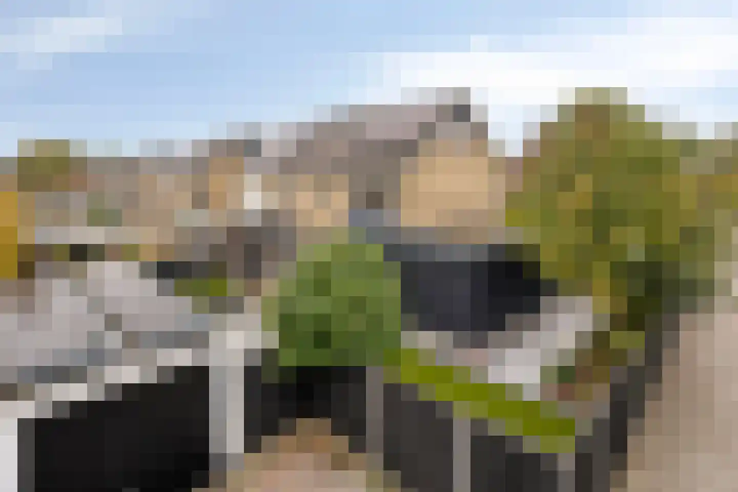 Koekoekslaan 52 Markelo thumbnail 49