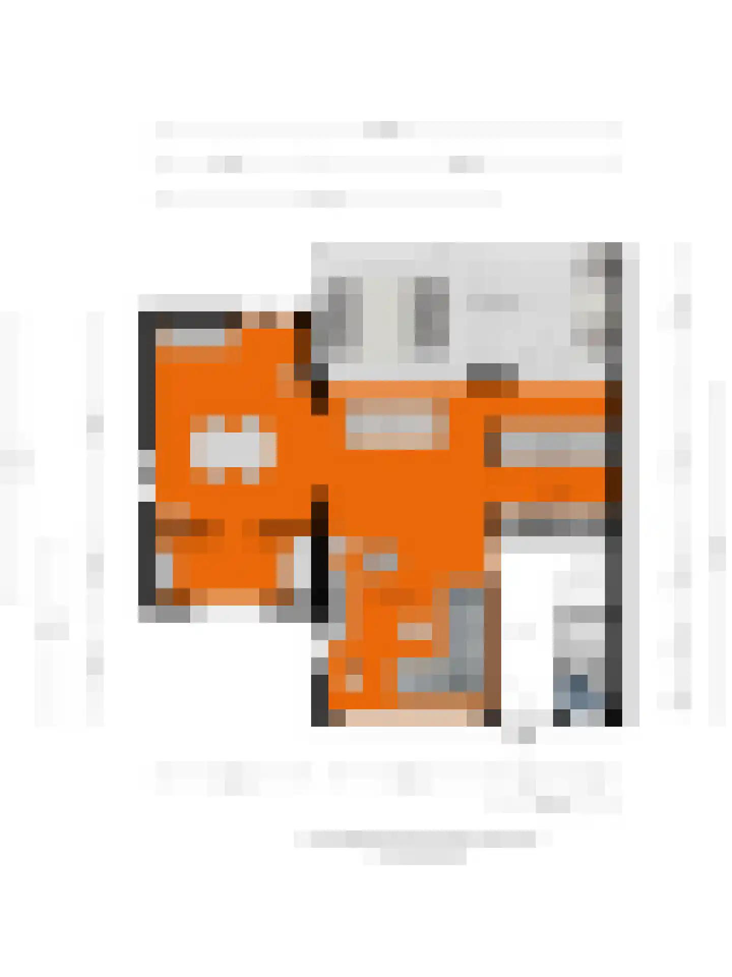 Koekoekslaan 52 Markelo thumbnail 53