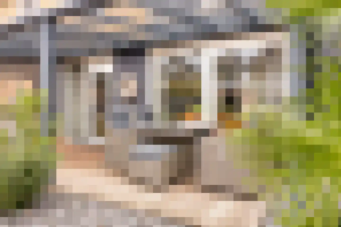 Koekoekslaan 52 Markelo thumbnail 8