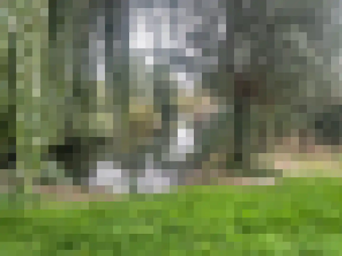 Koekoekslaan 68 Schiedam thumbnail 5