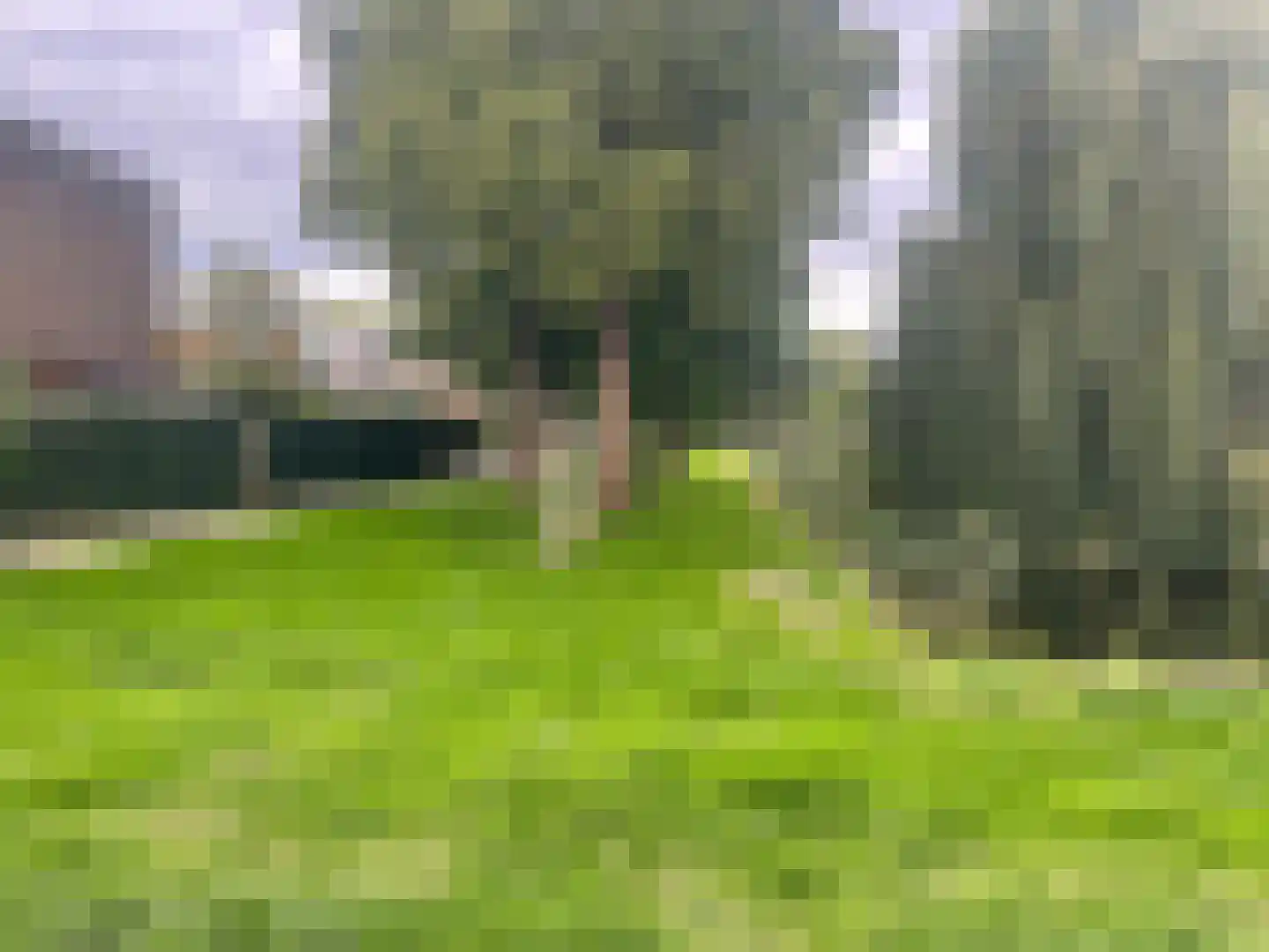 Koekoekslaan 68 Schiedam thumbnail 6