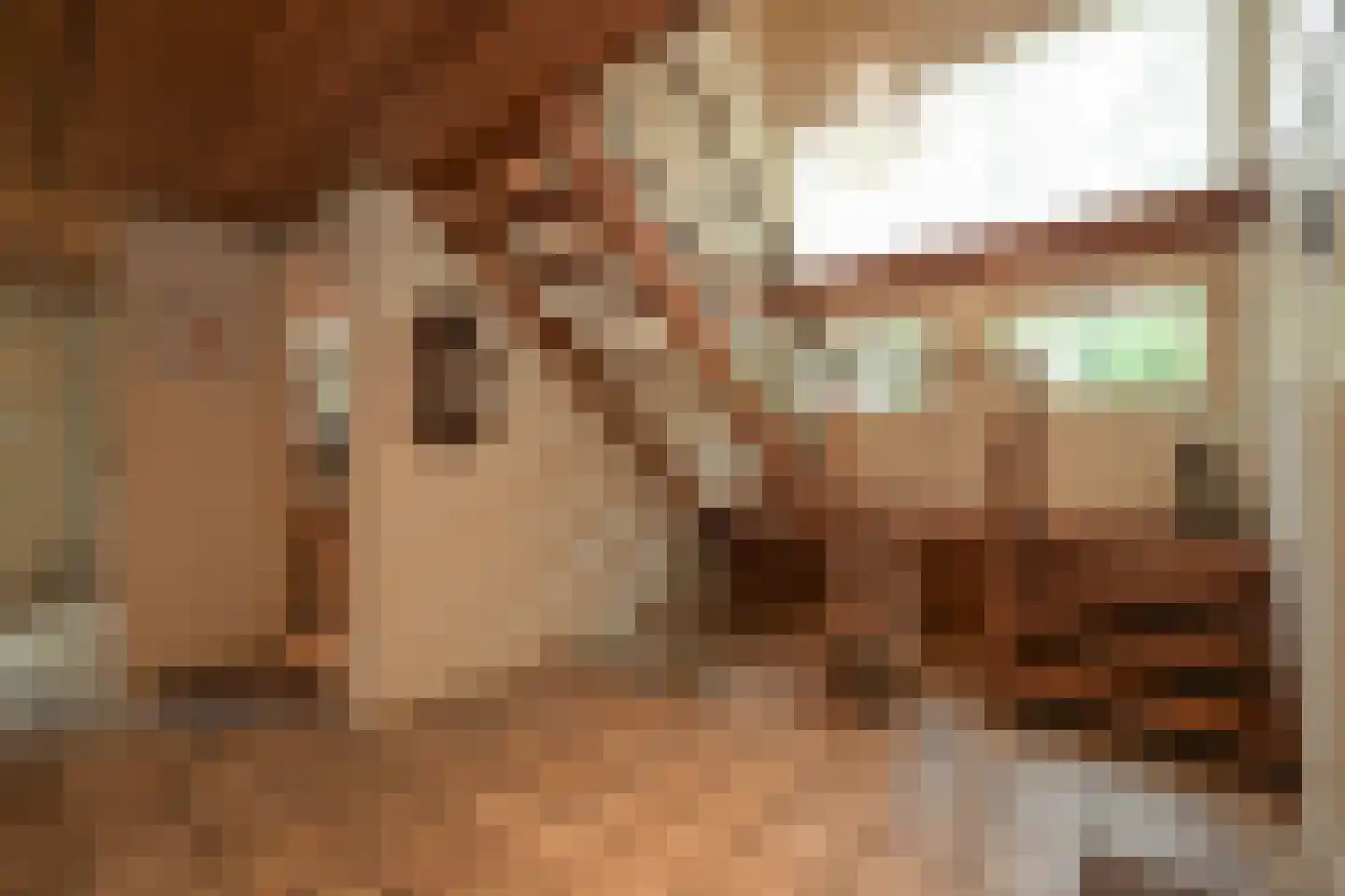 Koekoekslaan 8 Wassenaar thumbnail 10
