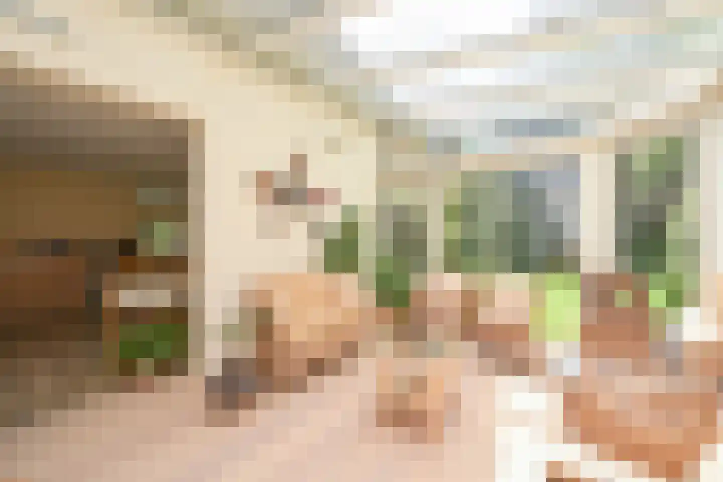 Koekoekslaan 8 Wassenaar thumbnail 12