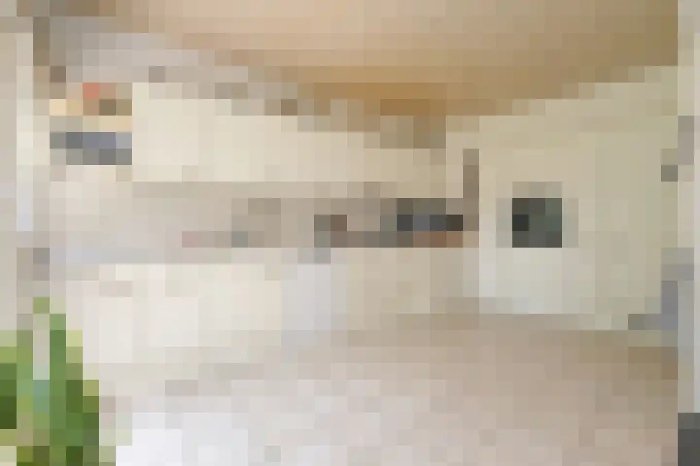 Koekoekslaan 8 Wassenaar thumbnail 18