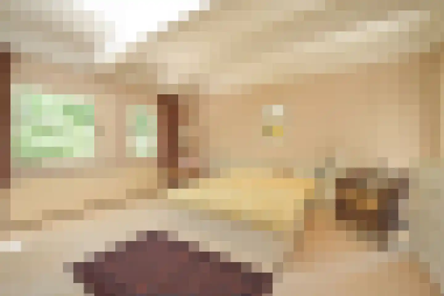 Koekoekslaan 8 Wassenaar thumbnail 22