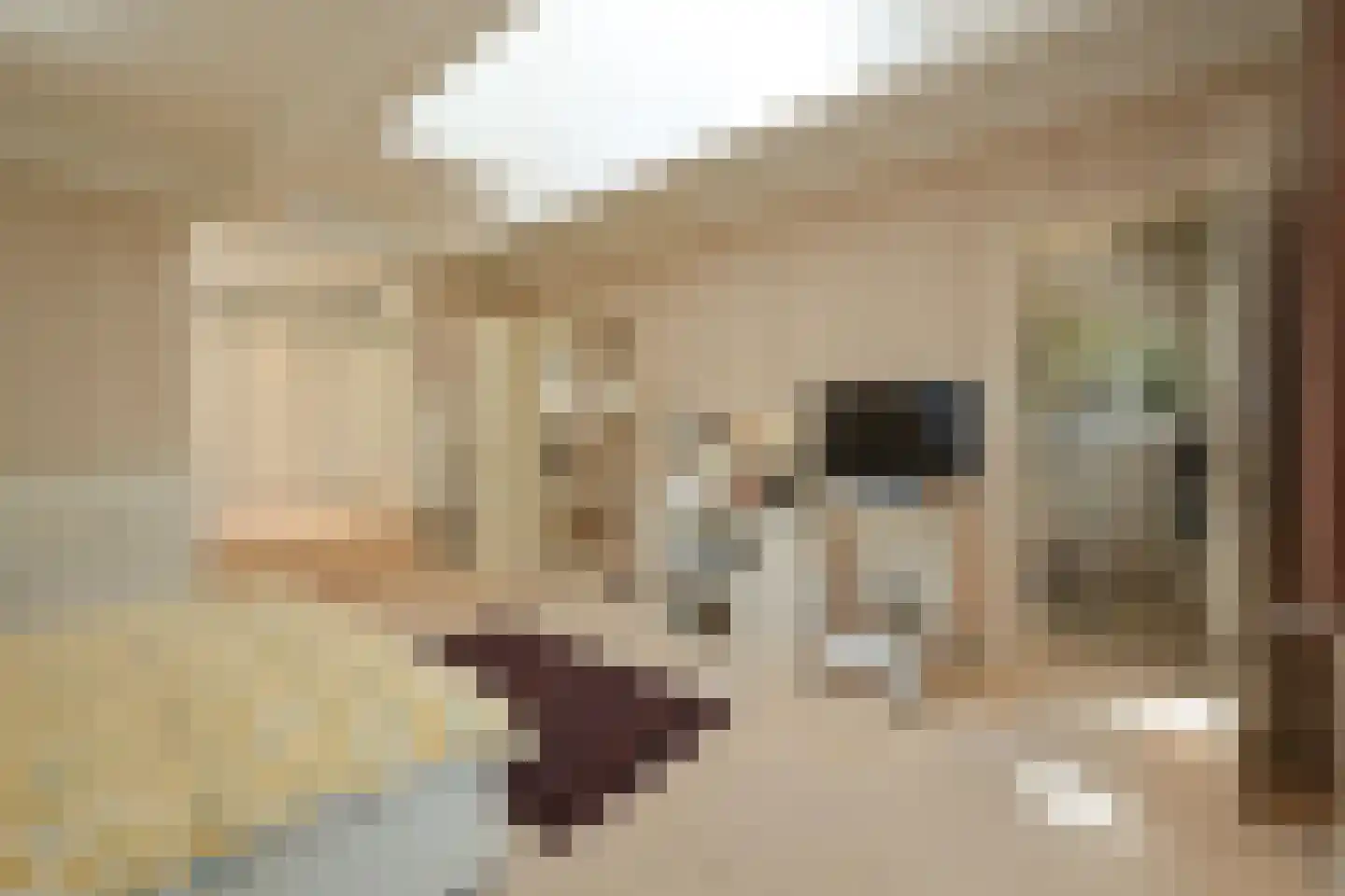 Koekoekslaan 8 Wassenaar thumbnail 23