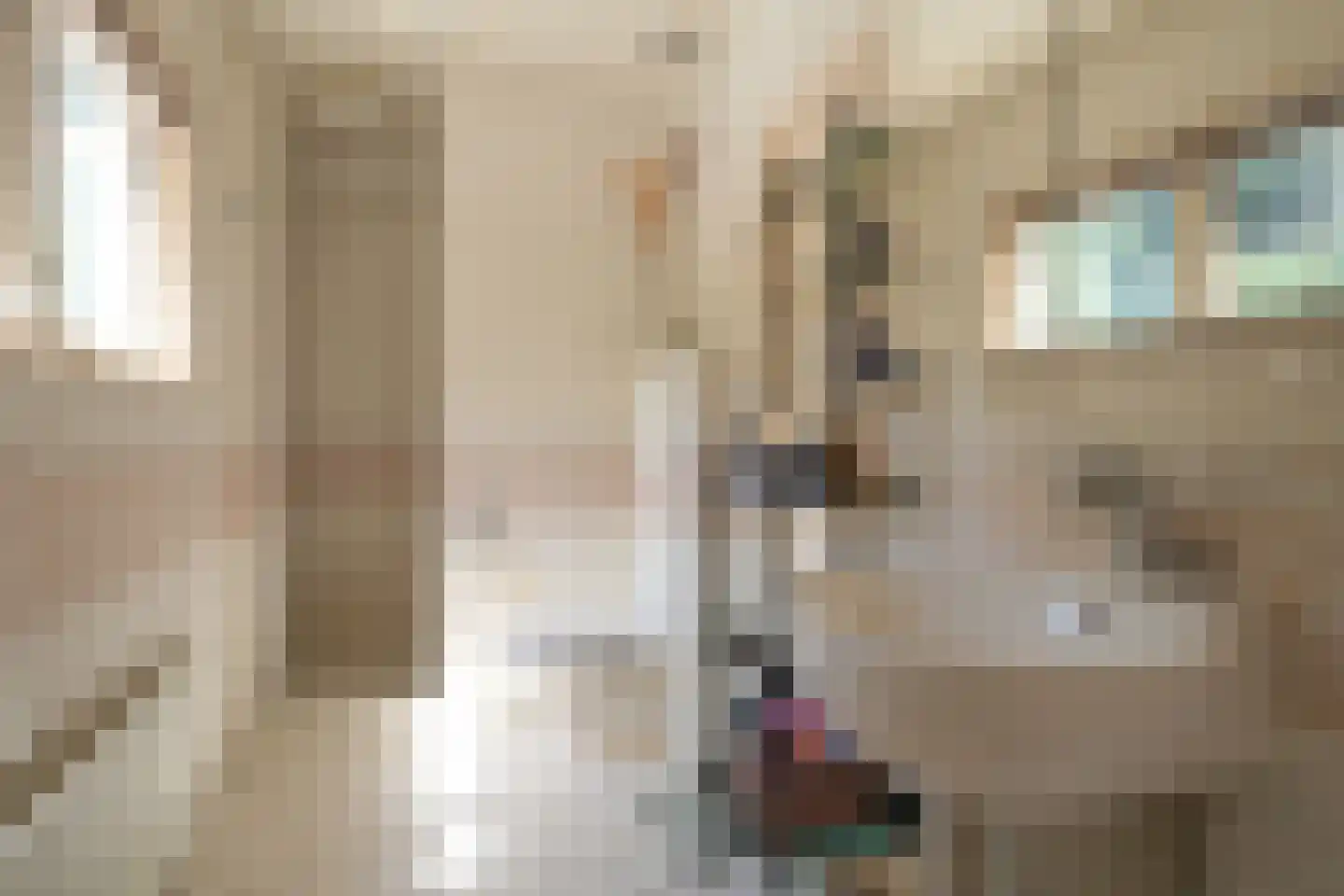 Koekoekslaan 8 Wassenaar thumbnail 33