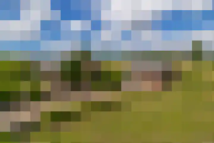 Koekoekslaan 81 Badhoevedorp thumbnail 26