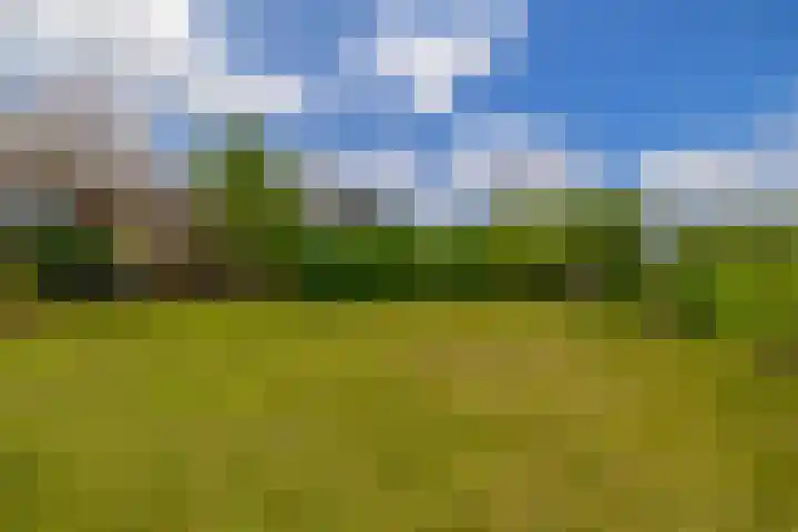 Koekoekslaan 81 Badhoevedorp thumbnail 27