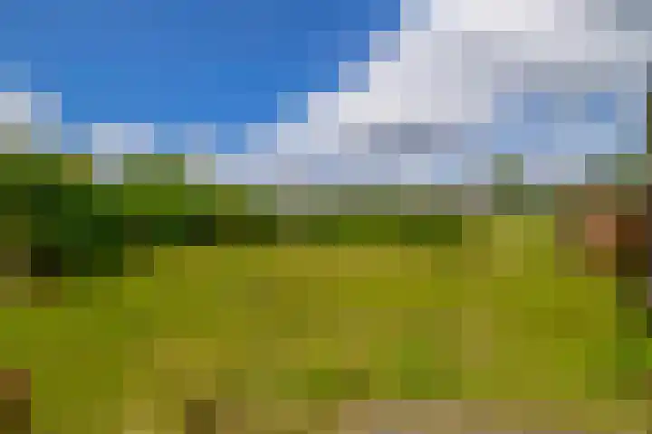 Koekoekslaan 81 Badhoevedorp thumbnail 28
