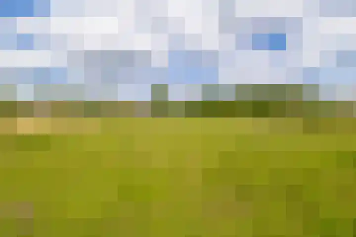Koekoekslaan 81 Badhoevedorp thumbnail 29