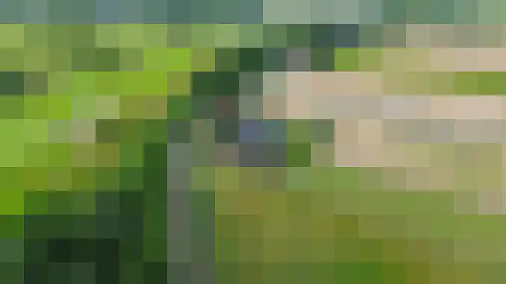 Koekoekslaan 81 Badhoevedorp thumbnail 36
