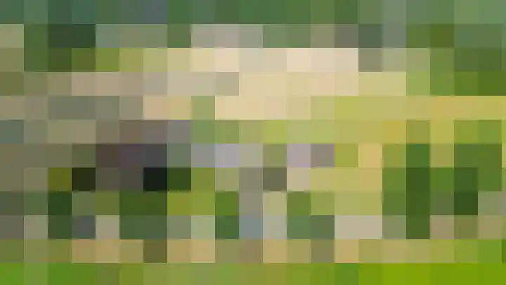 Koekoekslaan 81 Badhoevedorp thumbnail 37