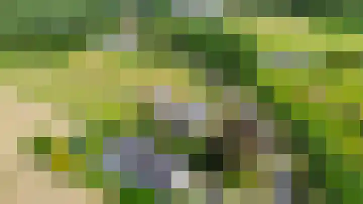 Koekoekslaan 81 Badhoevedorp thumbnail 38