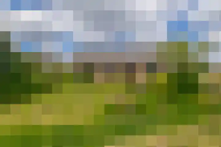 Koekoekslaan 81 Badhoevedorp thumbnail 4