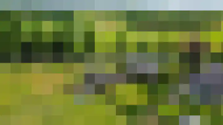 Koekoekslaan 81 Badhoevedorp thumbnail 40