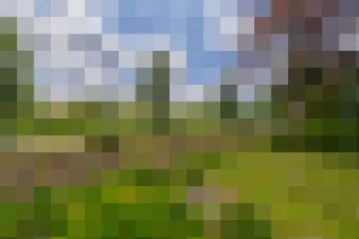 Koekoekslaan 81 Badhoevedorp thumbnail 7
