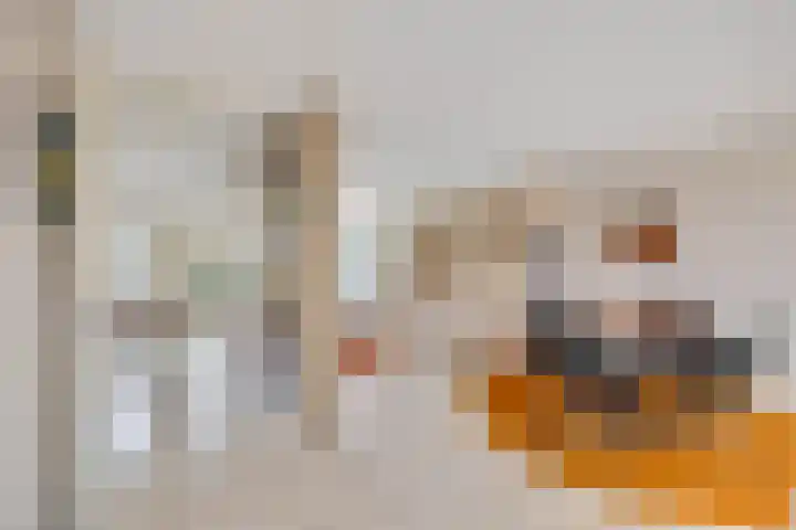 Koekoekslaan 95 Schiedam thumbnail 12