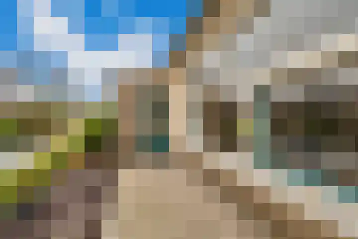 Koekoekslaan 95 Schiedam thumbnail 16