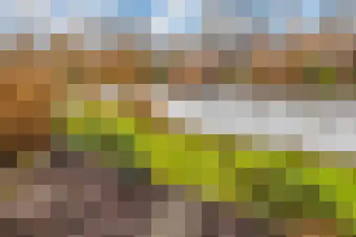 Koekoekslaan 95 Schiedam thumbnail 18