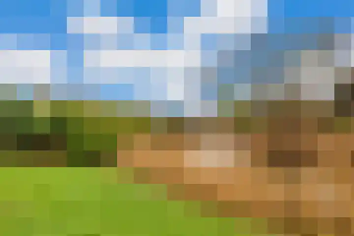 Koekoekslaan 95 Schiedam thumbnail 19