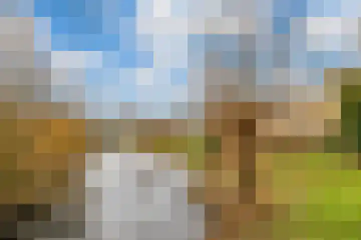 Koekoekslaan 95 Schiedam thumbnail 20