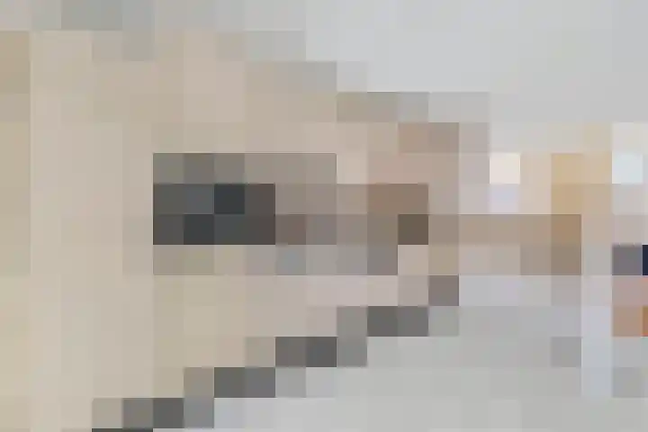 Koekoekslaan 95 Schiedam thumbnail 22