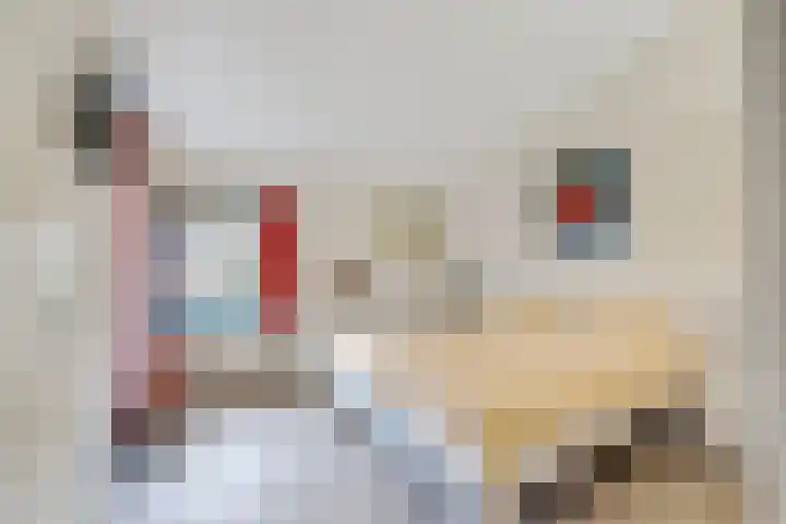 Koekoekslaan 95 Schiedam thumbnail 26