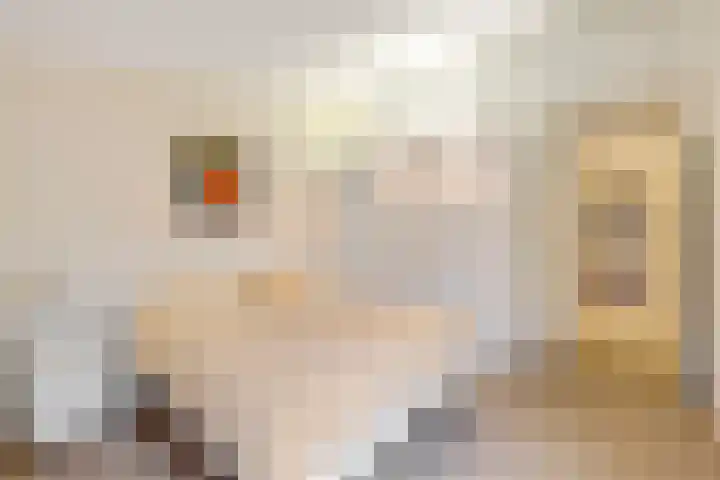 Koekoekslaan 95 Schiedam thumbnail 27