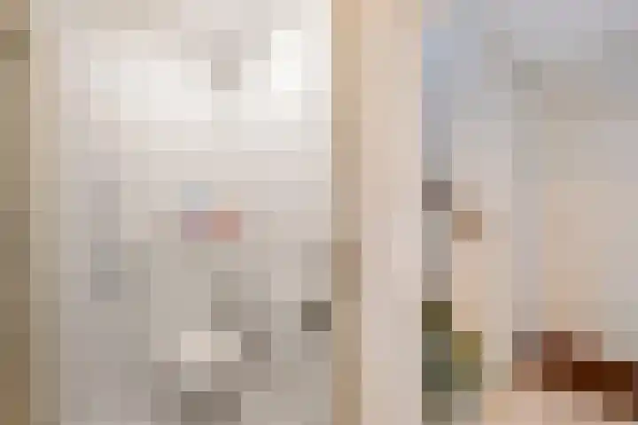 Koekoekslaan 95 Schiedam thumbnail 31
