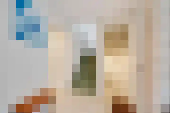 Koekoekslaan 95 Schiedam thumbnail 32