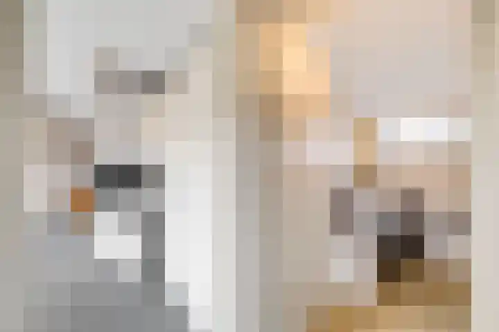 Koekoekslaan 95 Schiedam thumbnail 34