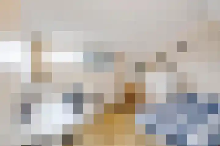Koekoekslaan 95 Schiedam thumbnail 35