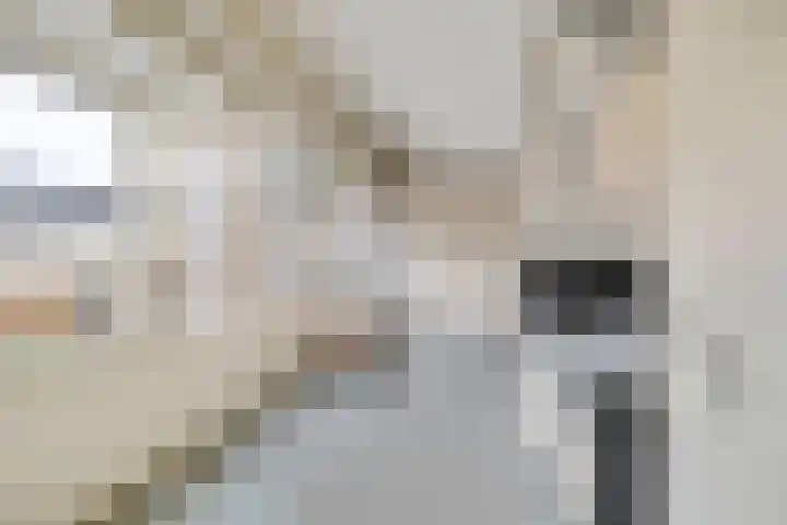 Koekoekslaan 95 Schiedam thumbnail 37