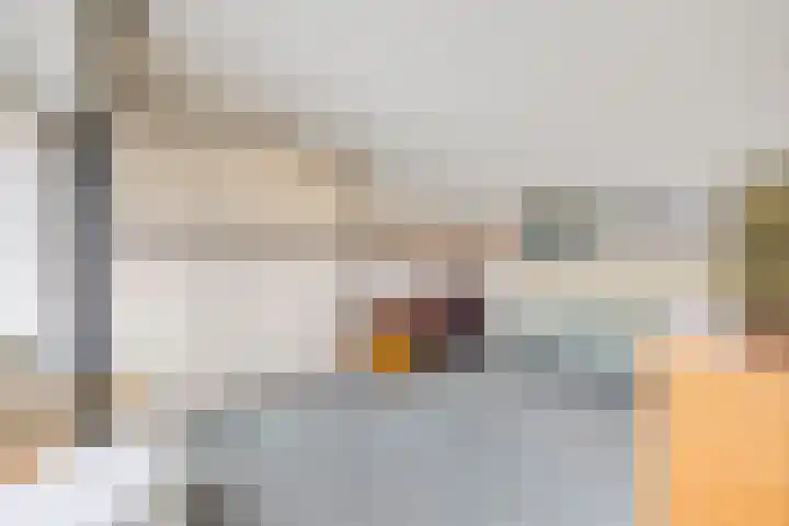 Koekoekslaan 95 Schiedam thumbnail 38