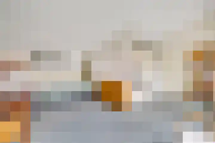 Koekoekslaan 95 Schiedam thumbnail 39
