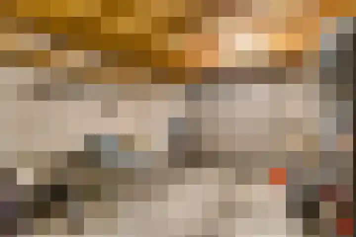 Koekoekslaan 95 Schiedam thumbnail 43
