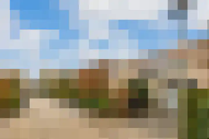 Koekoekslaan 95 Schiedam thumbnail 6