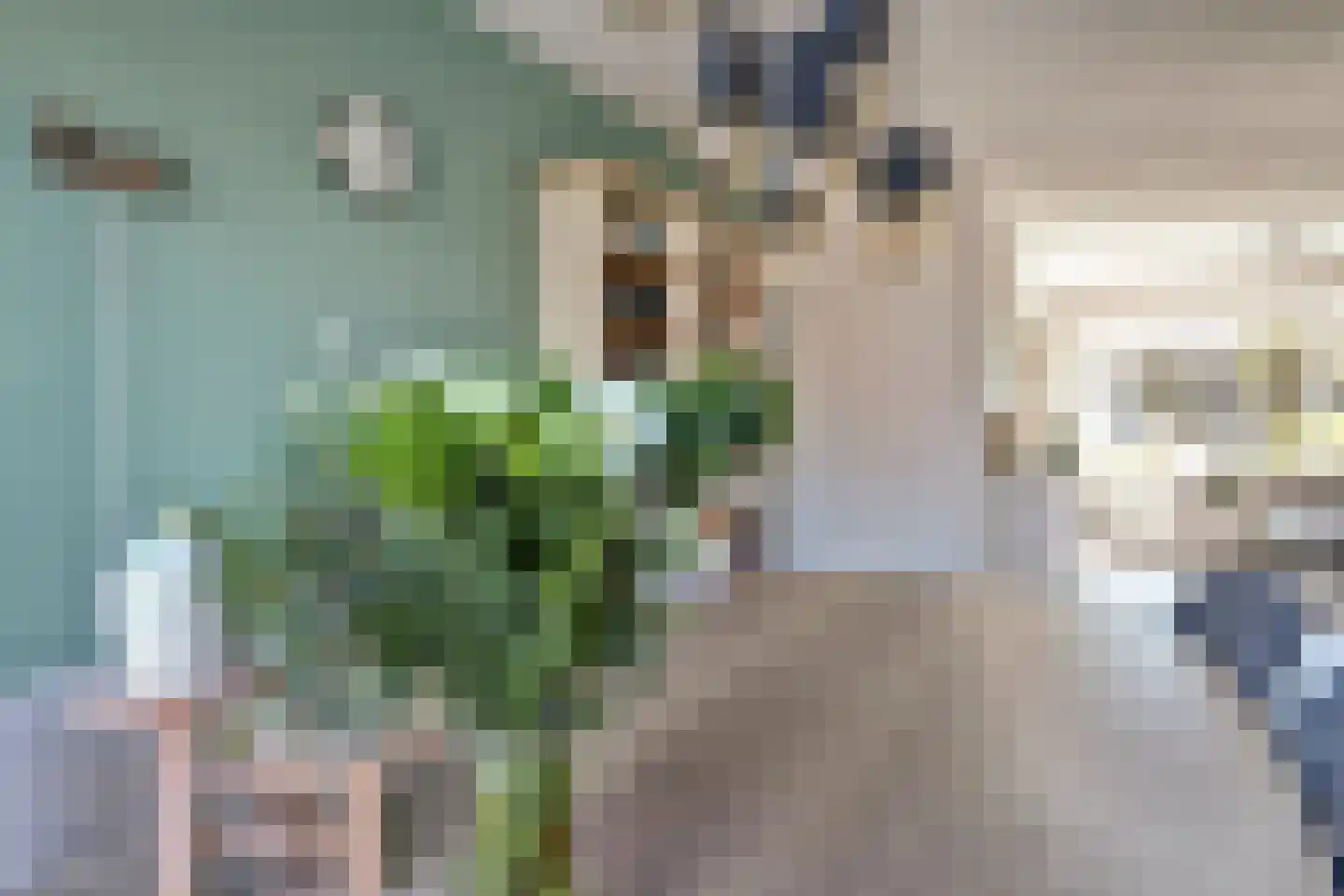 Koekoekspad 27 Enkhuizen thumbnail 9