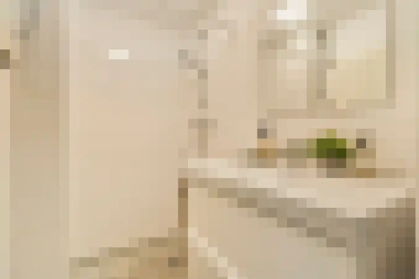 Koekoeksstraat 64 Amsterdam thumbnail 23