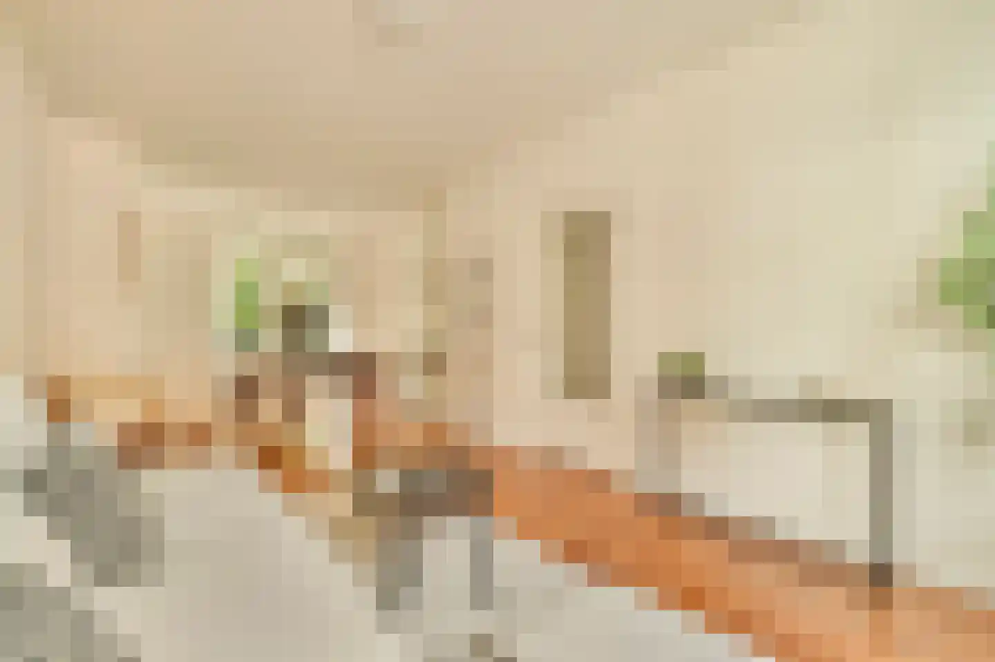 Koekoeksstraat 64 Amsterdam thumbnail 6