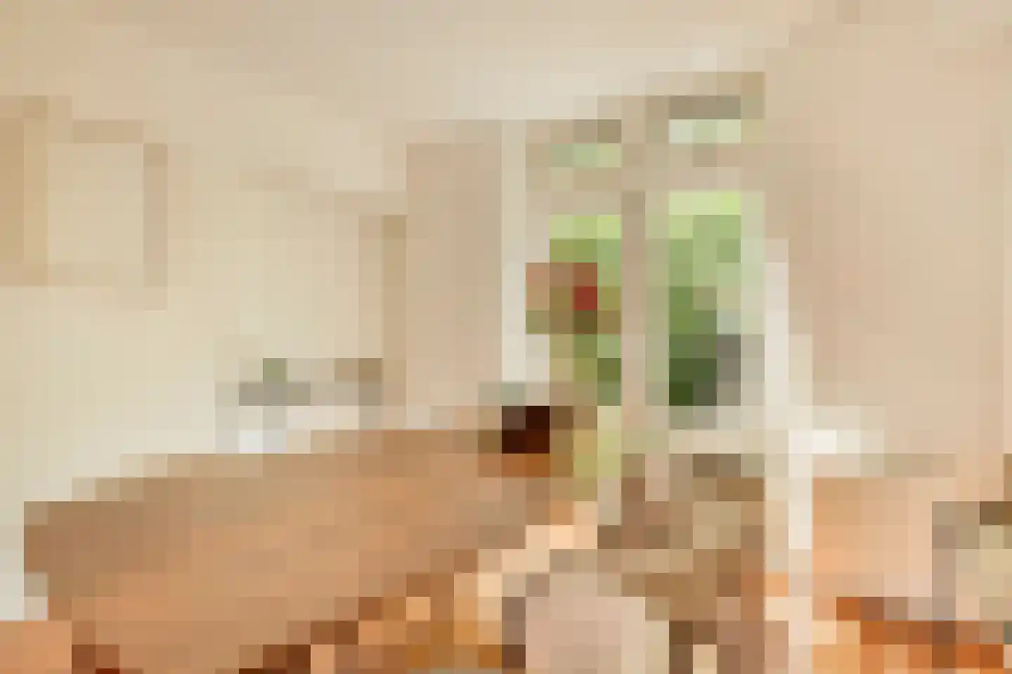 Koekoeksstraat 64 Amsterdam thumbnail 9