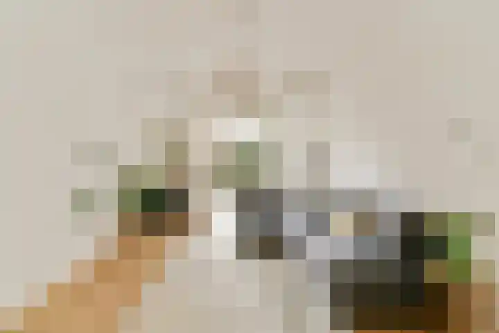 Koekoeksstraat 65 Amsterdam thumbnail 10