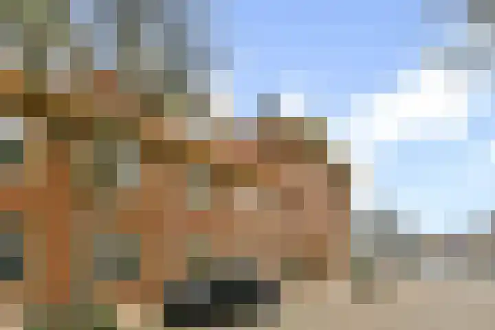 Koekoeksstraat 65 Amsterdam thumbnail 8