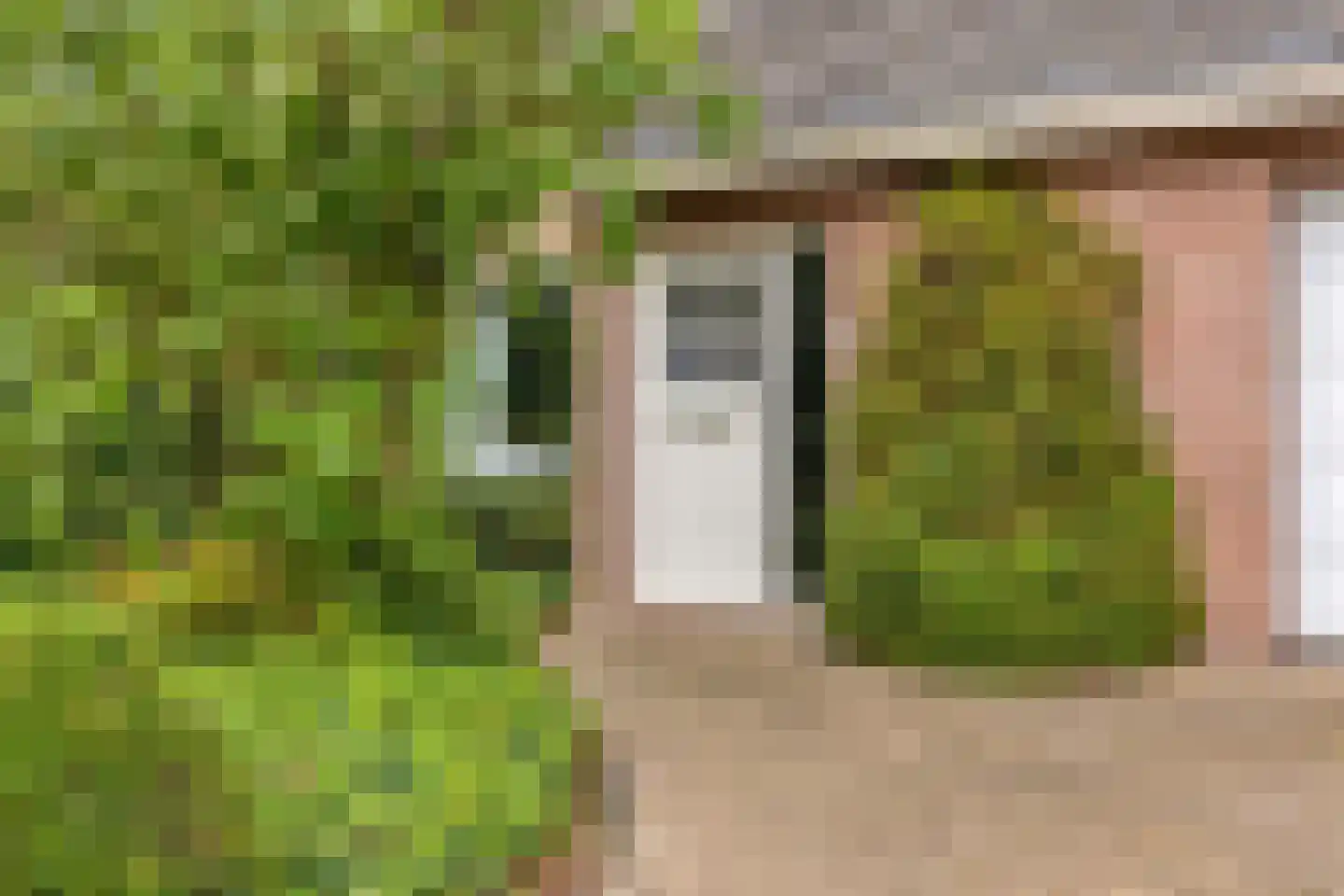 Koekoekstraat 1 Hedel thumbnail 17