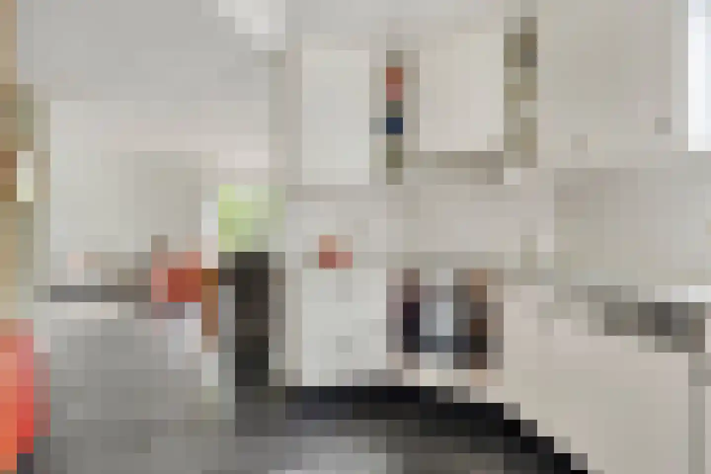 Koekoekstraat 1 Hedel thumbnail 27