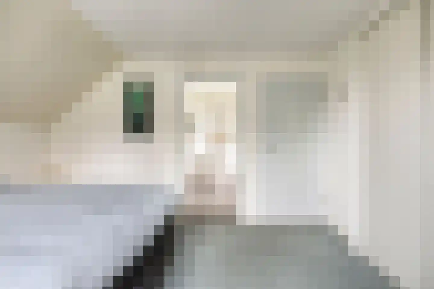 Koekoekstraat 1 Hedel thumbnail 36