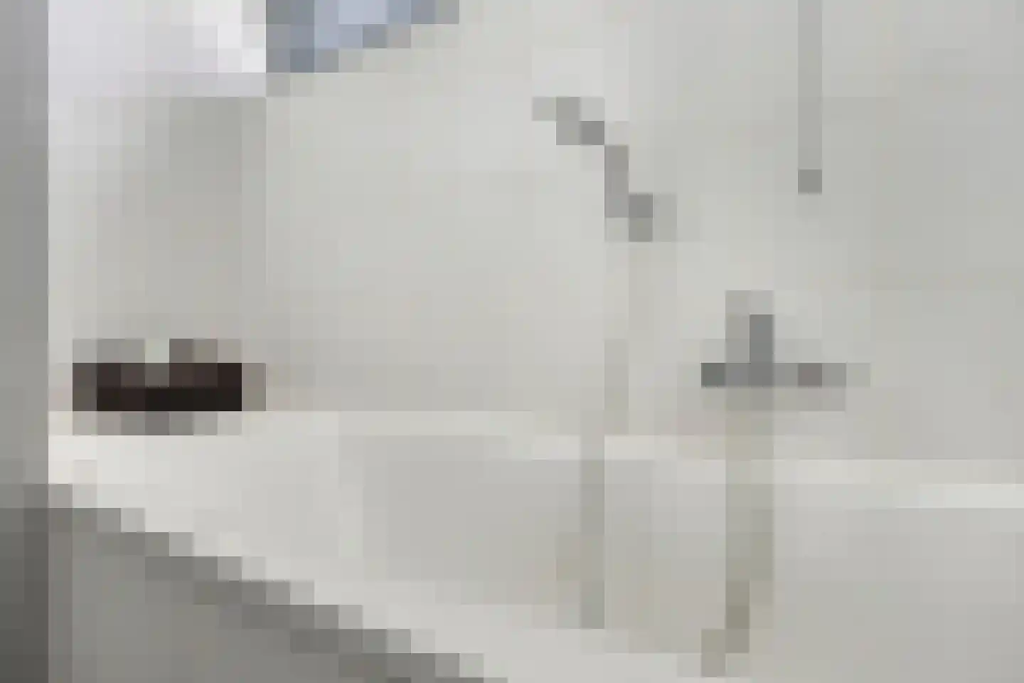Koekoekstraat 1 Hedel thumbnail 45