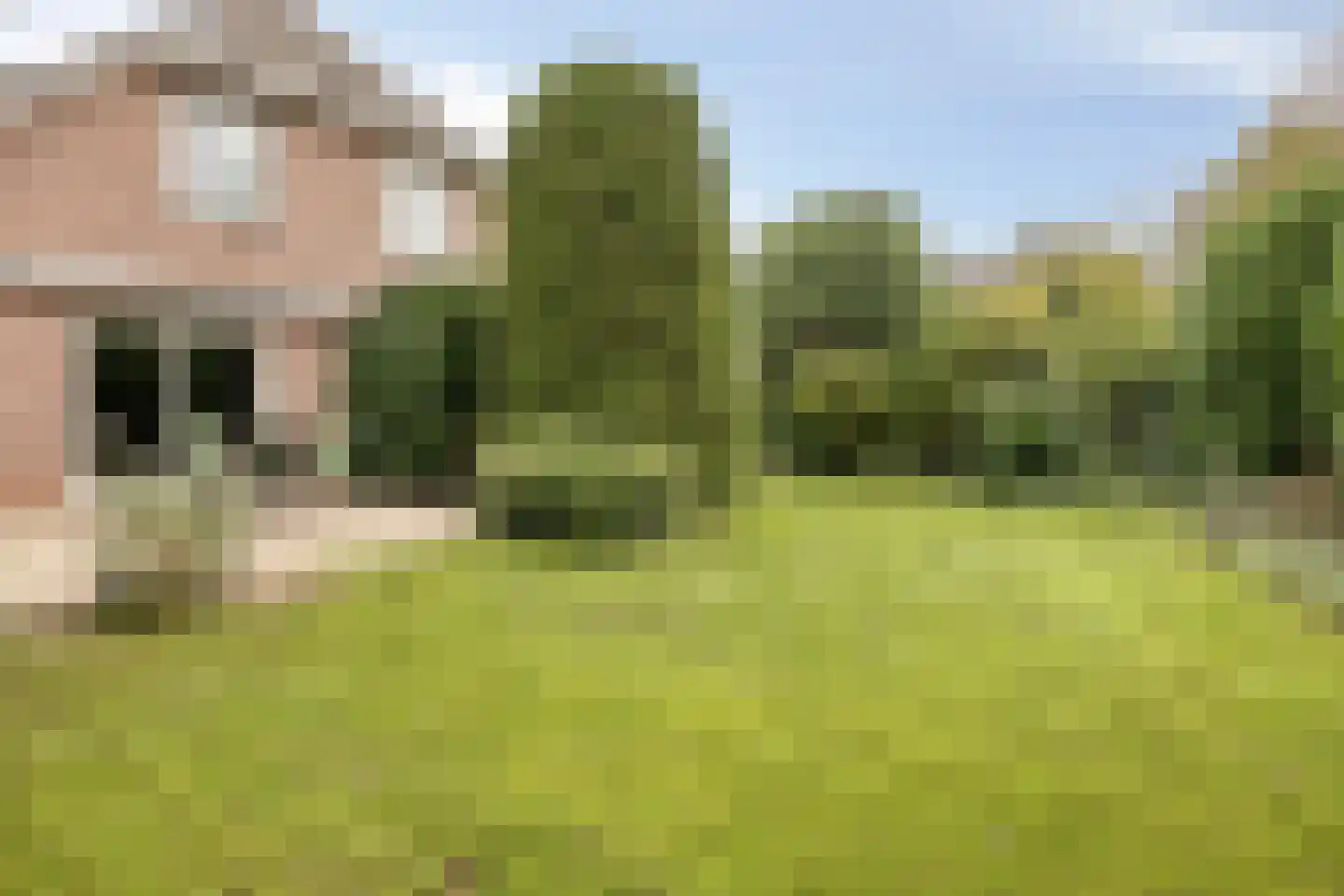 Koekoekstraat 1 Hedel thumbnail 47