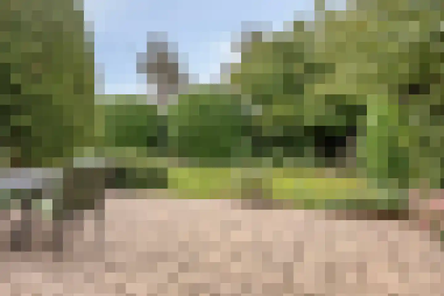 Koekoekstraat 1 Hedel thumbnail 48